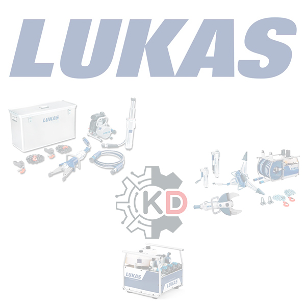 Lukas 25000119256