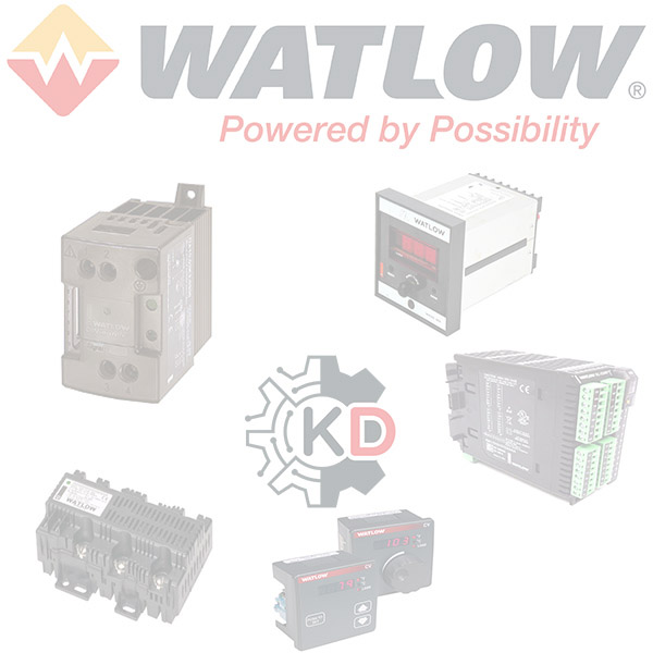 Watlow DT160-6002B-24AAB